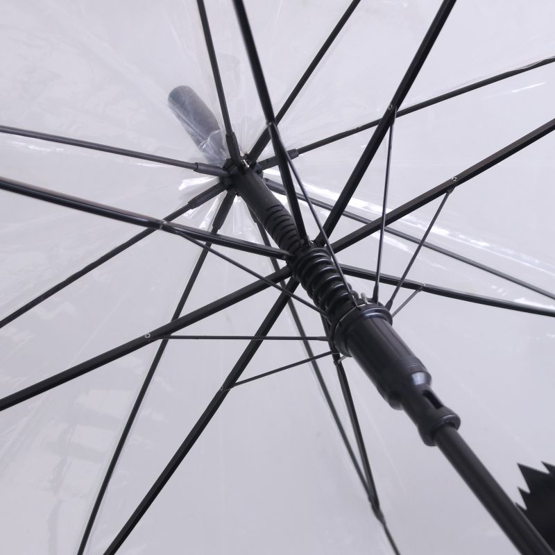 Clear Umbrella_3.jpg